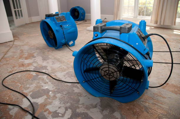 Best Water damage cleanup near me  in Massillon, OH