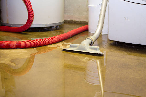 Best Basement water damage restoration  in Massillon, OH