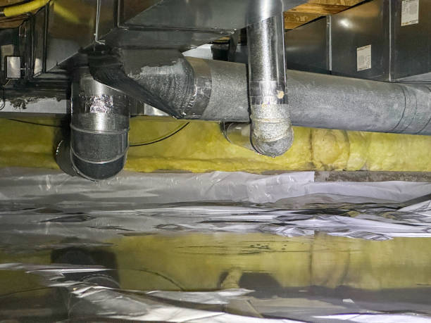Best Mold removal after water damage  in Massillon, OH